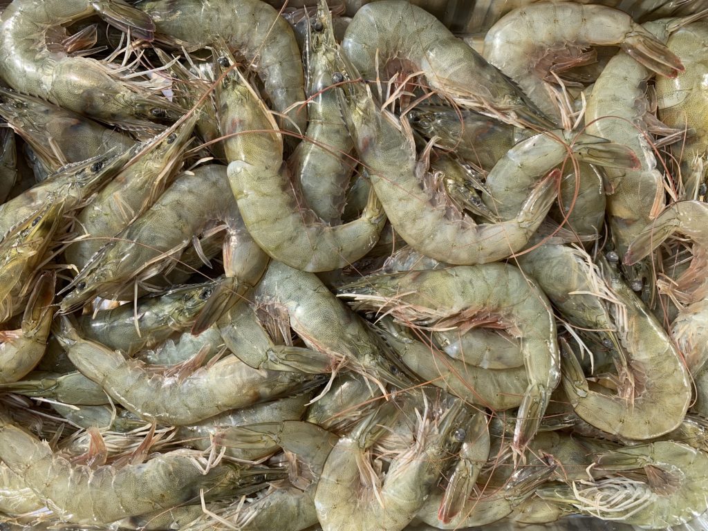 China imported 57,200 tons of Ecuadorian vannamei shrimps in the first quarter.