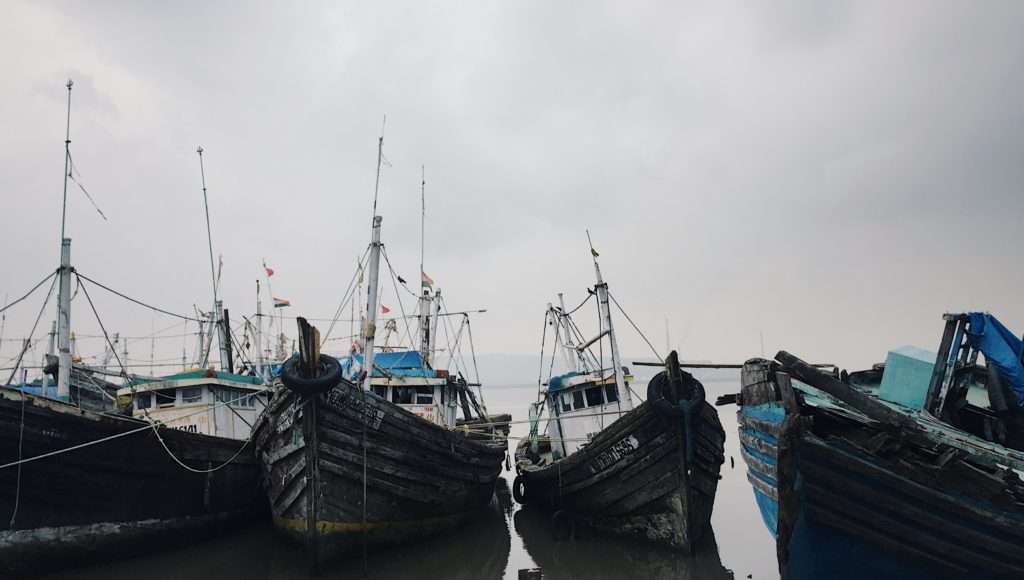 China’s imports of Indian seafood dropped by more than 20% in 2020.