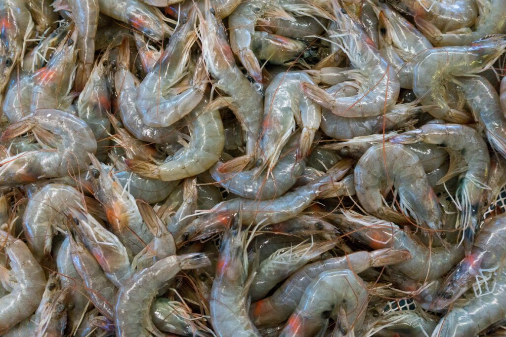 China’s shrimp imports reached 360 million USD in October, a new high this year.