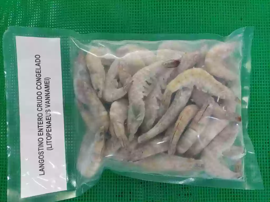 Frozen HOSO Shrimp – 1kg Rider Bag