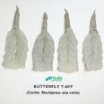 SCHMETTERLINGSGARNELEN