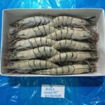 BLACK TIGER HOSO 2/4 à 30/40 BOÎTE 800g