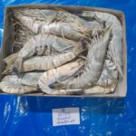 BLACK TIGER EZ-PEEL 6x2kg