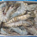 BLACK TIGER EZ-PEEL 6x2kg