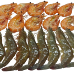 LIVE FROZEN VANNAMEI SHRIMP 1-2kg BOX