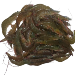 LIVE FROZEN VANNAMEI SHRIMP 1-2kg BOX